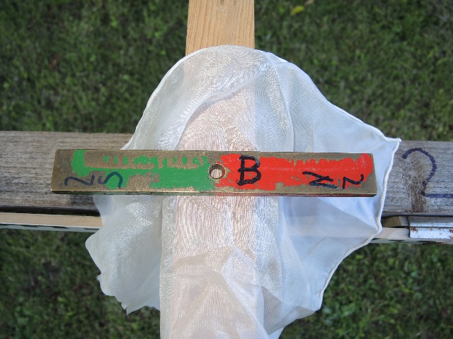 dsco6491_g.jpg