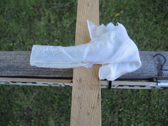 dsco6492_g.jpg