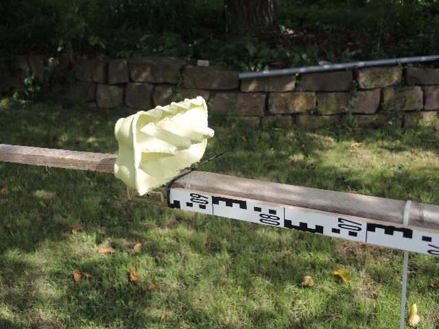 dsco6658_g.jpg