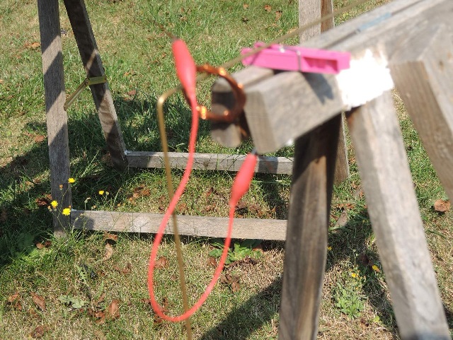 dsco6898_g.jpg