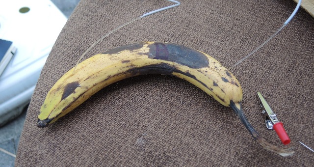 dsco6926_g.jpg