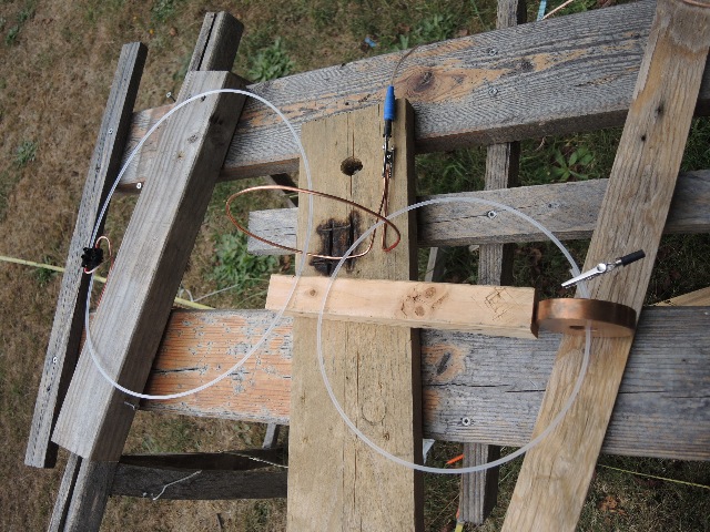 dsco7021_g.jpg