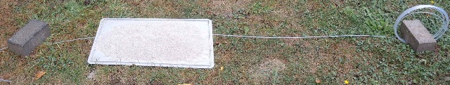 dsco7060-a_g.jpg
