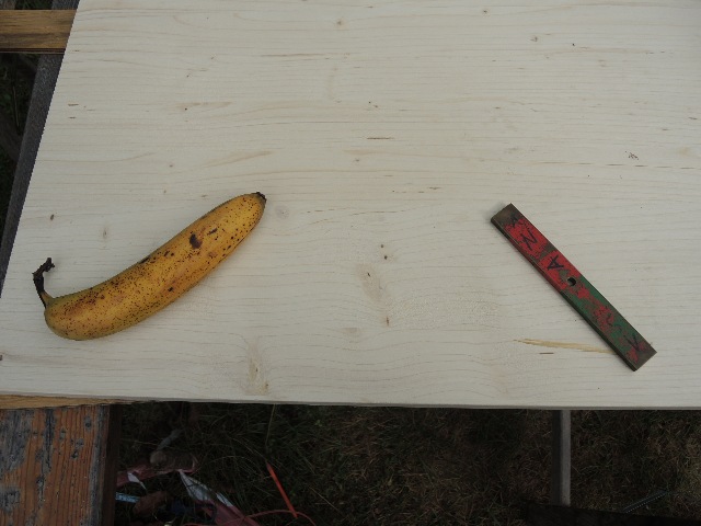 dsco7076_g.jpg