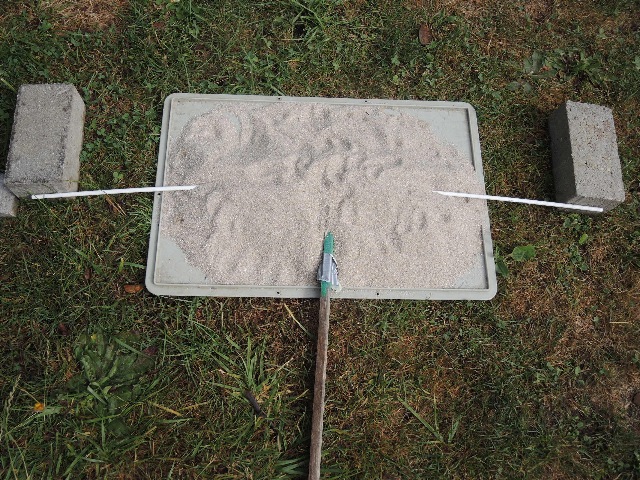 dsco7077_g.jpg