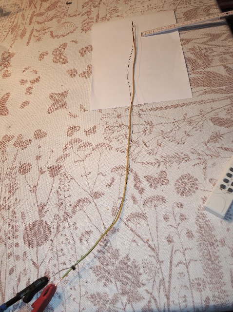 dsco7938_g.jpg