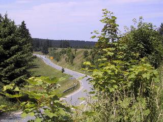 IMG_7748_m.jpg