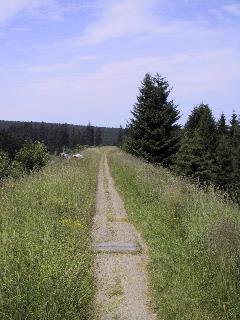 IMG_7749_m.jpg
