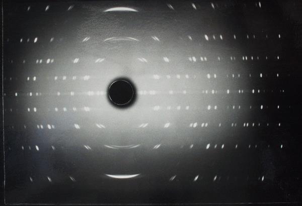 imh_2908_g.jpg