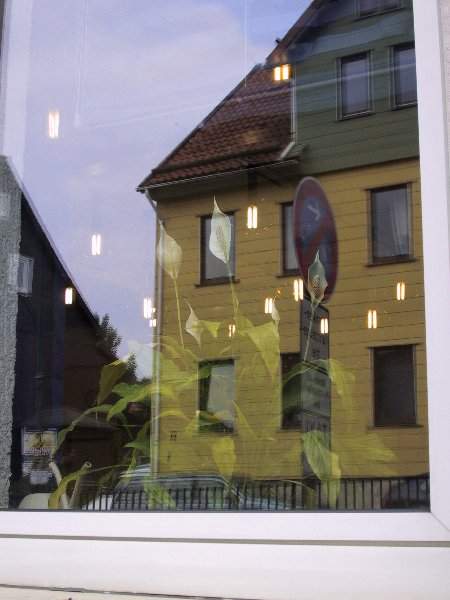 imh_7836_g.jpg