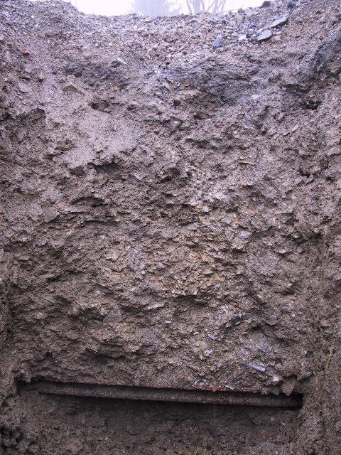 imi_0935_g.jpg