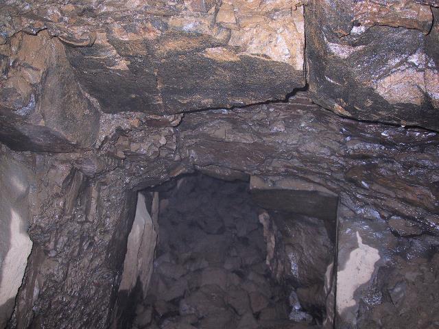 imi_0939_g.jpg