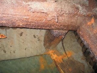 imj_5561_m.jpg