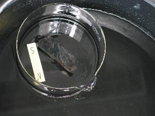 imj_6828_m.jpg