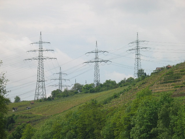 imj_8840_g.jpg
