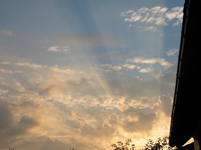 imk_0205_g.jpg