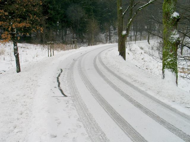 imk_5499_g.jpg