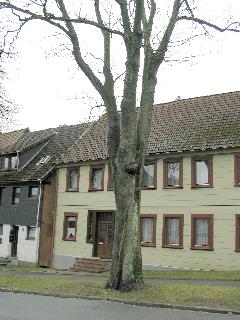 imk_5907_m.jpg