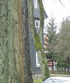 imk_5909-a_m.jpg