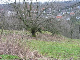 imk_5930_m.jpg