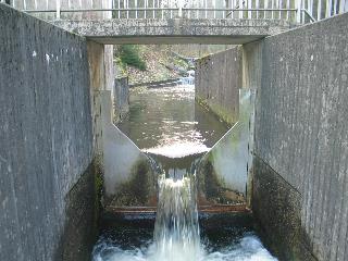 imk_6062_m.jpg