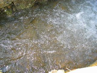 imk_6260_m.jpg