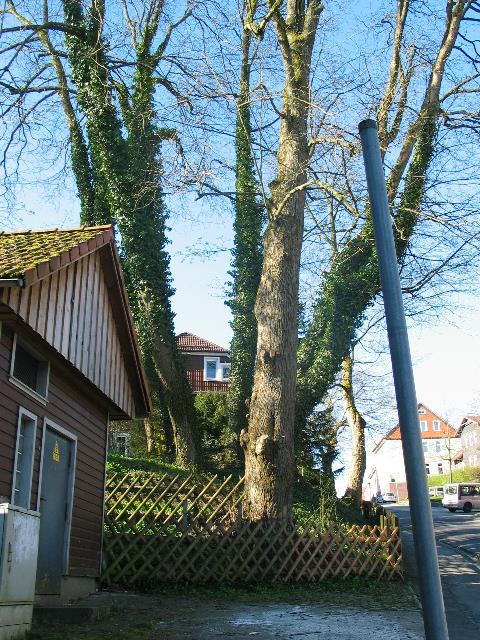 imk_6449_g.jpg