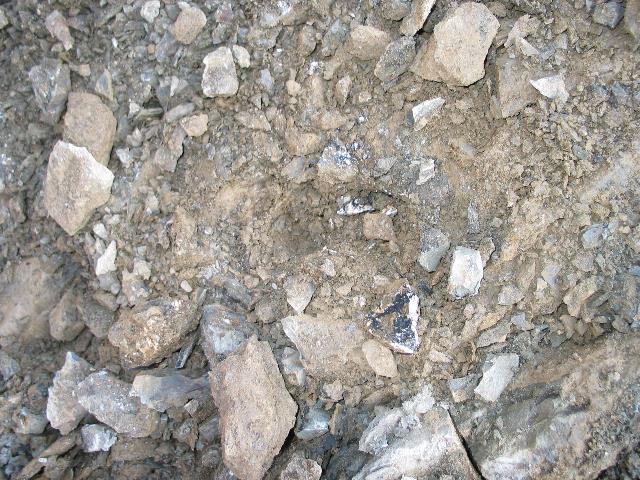 imk_6643_g.jpg
