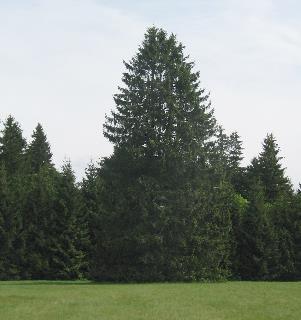 imk_6770_m.jpg