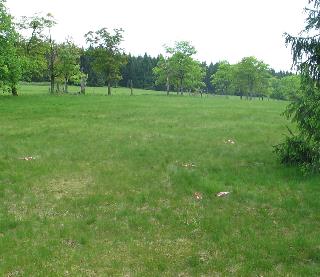 imk_6787-a_m.jpg