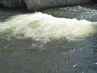imk_6895_m.jpg