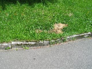 imk_7087_m.jpg