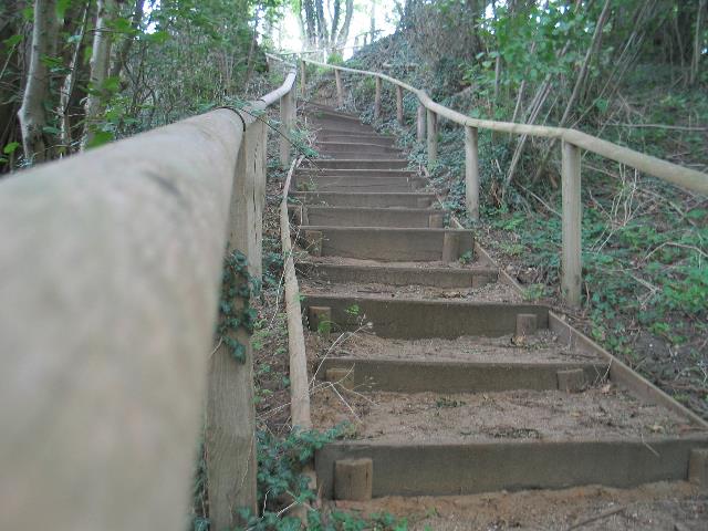 imk_8072_g.jpg