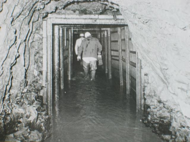 imk_8122_g.jpg