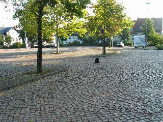 imk_8134_m.jpg