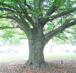 imk_8468-a_m.jpg