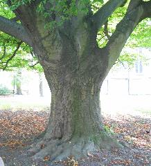 imk_8469-a_m.jpg