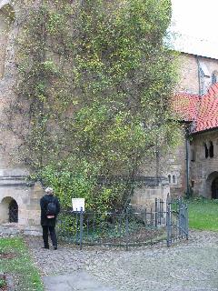 imk_8564_m.jpg