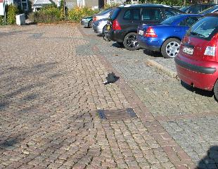 imk_8576-a_m.jpg