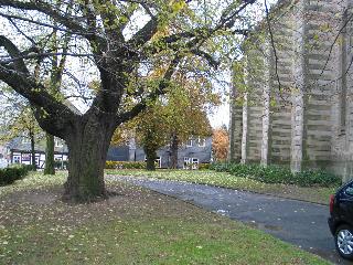 imk_8721_m.jpg