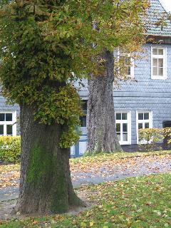 imk_8723_m.jpg