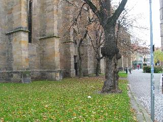 imk_8785_m.jpg