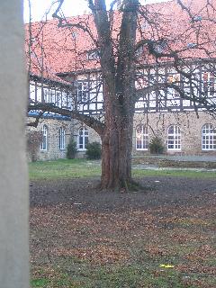 imk_9434_m.jpg
