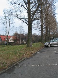 imk_9477_m.jpg