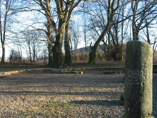 imk_9518_g.jpg