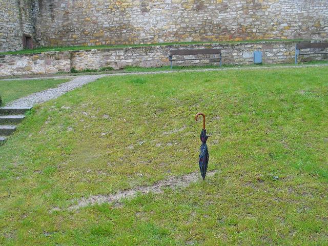 imm_0048_g.jpg