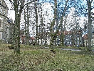 imm_0086_m.jpg