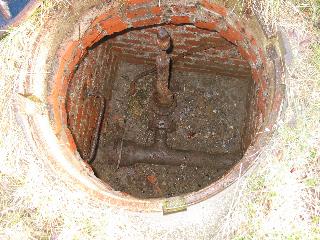 imm_0089_m.jpg