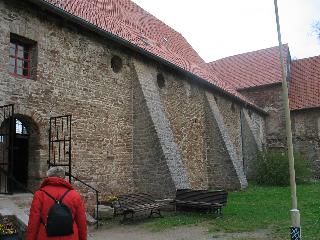 imm_0100_m.jpg