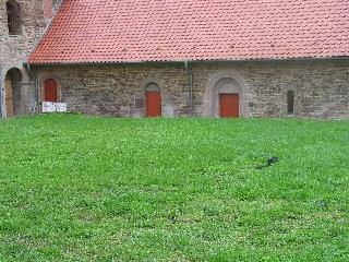 imm_0111_m.jpg
